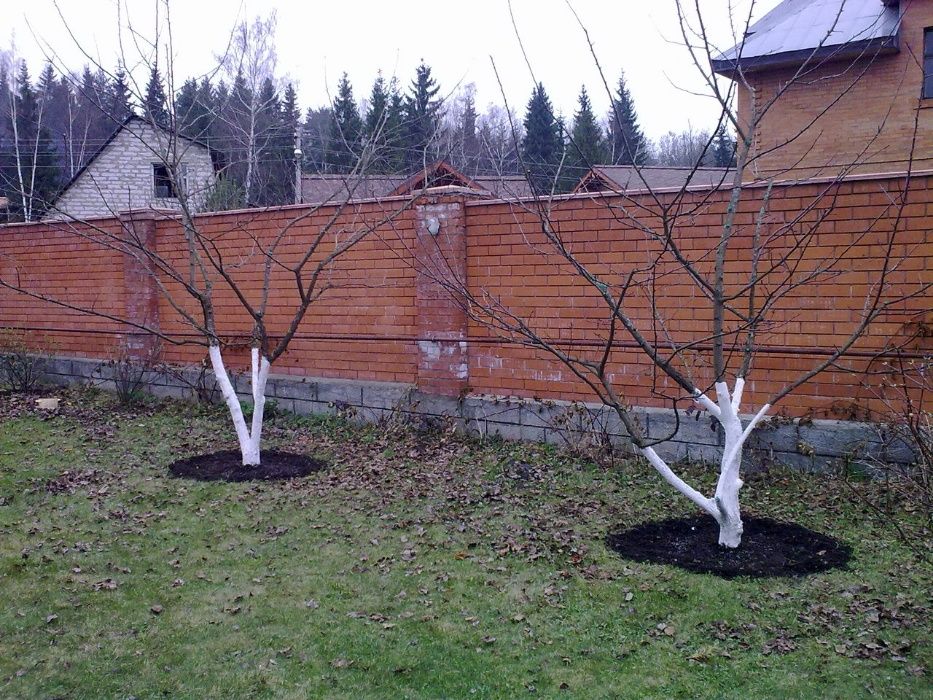 Розчищення ділянки Зрізання Обрізка дерев Прибирання Демонтаж Знесення