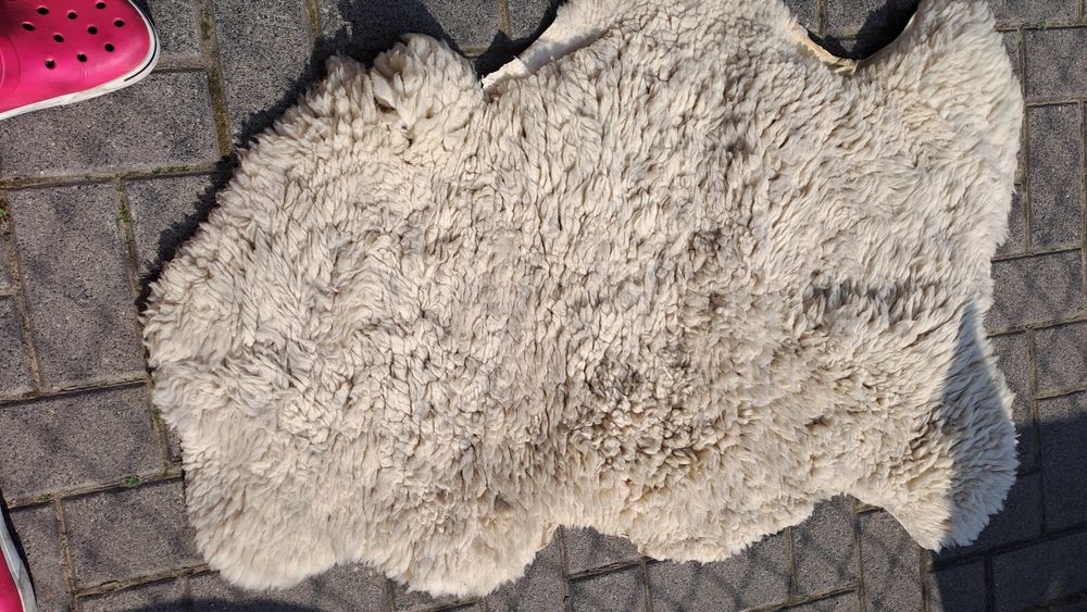 Naturalna skóra owcza duża