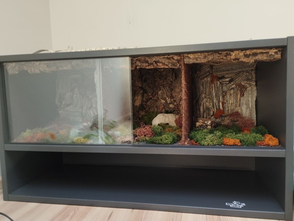 Terrarium (modliszka, pająk, itp)