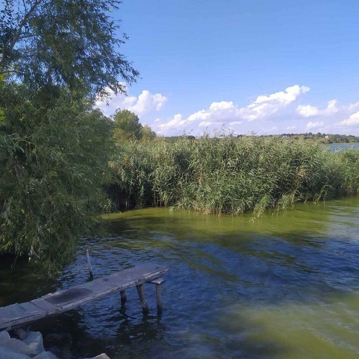 Продаж дачі в с. Привітне