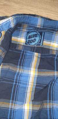 Koszula w kratkę 116 blue zoo