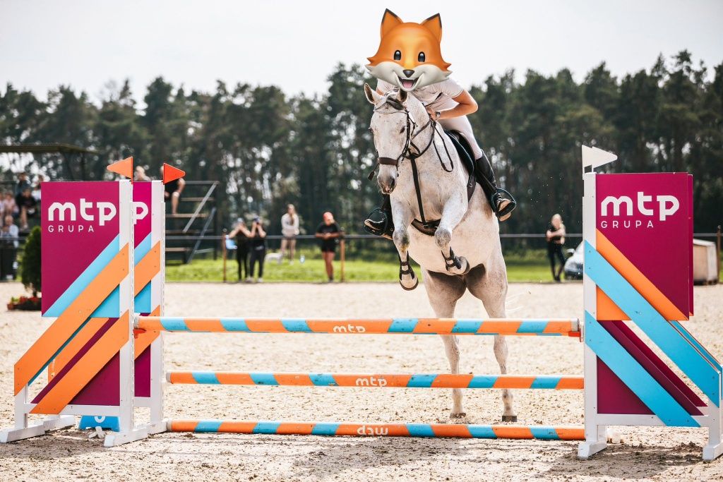 Klacz do małego sportu