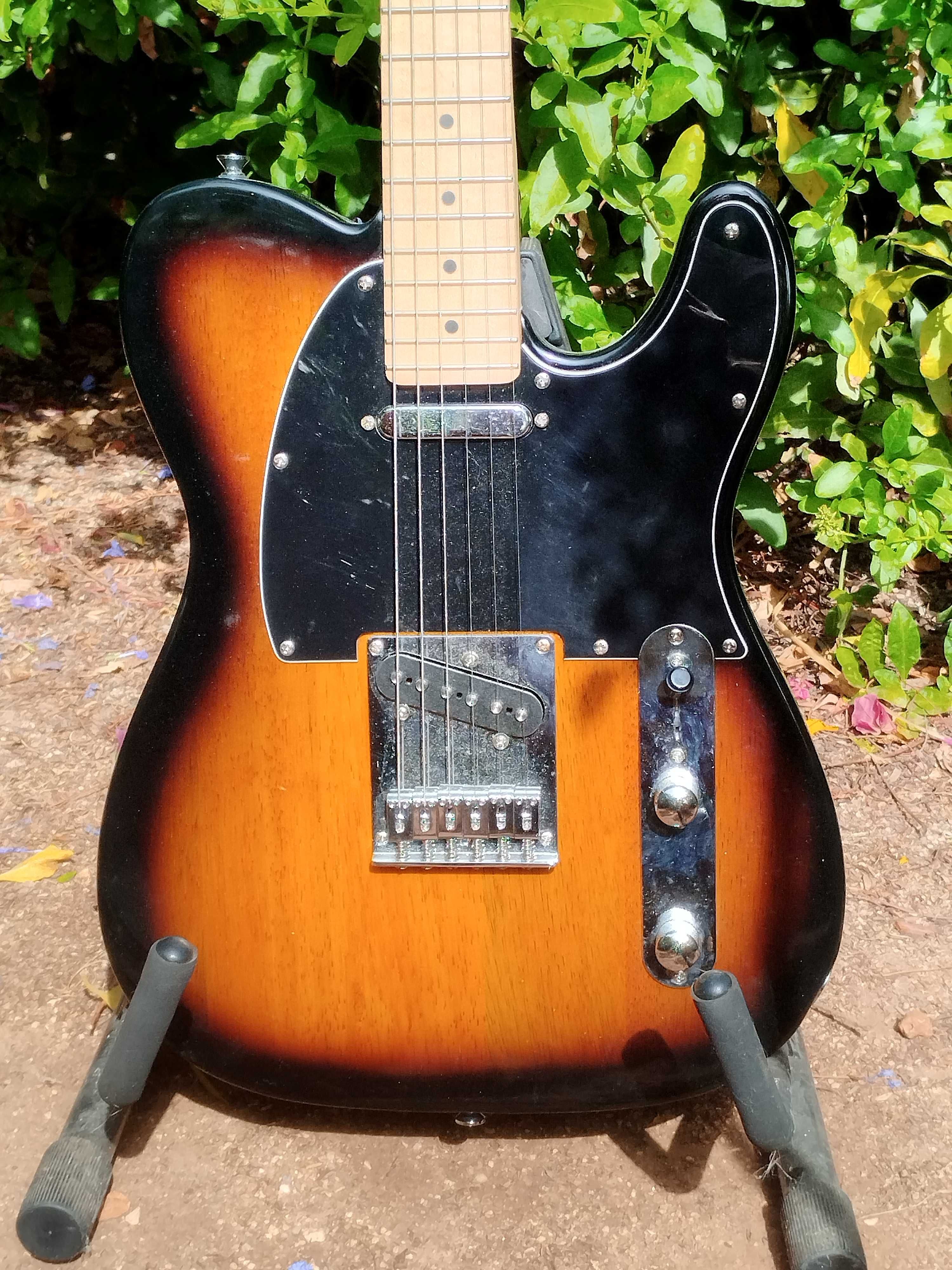 FENDER & SQUIER Telecaster Electric Guitars / Guitarras