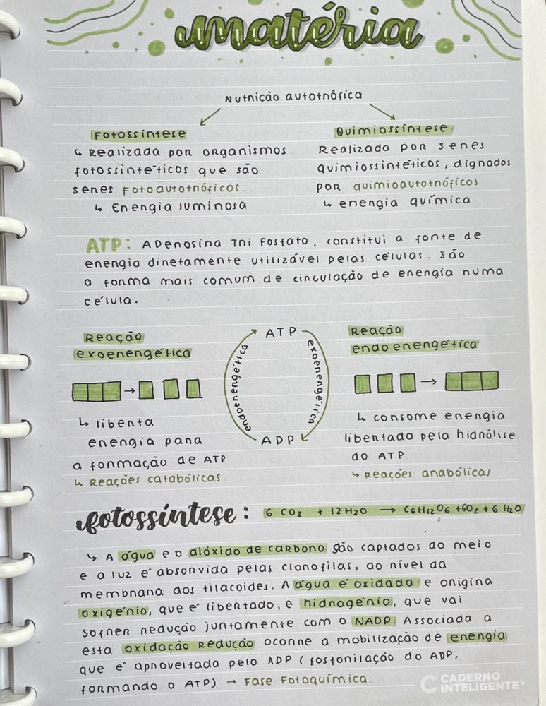 Resumos Biologia e Geologia 10º e 11º para Exame Nacional IAVE 2025
