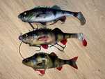 Savage Gear - Perch - zestaw przynęt