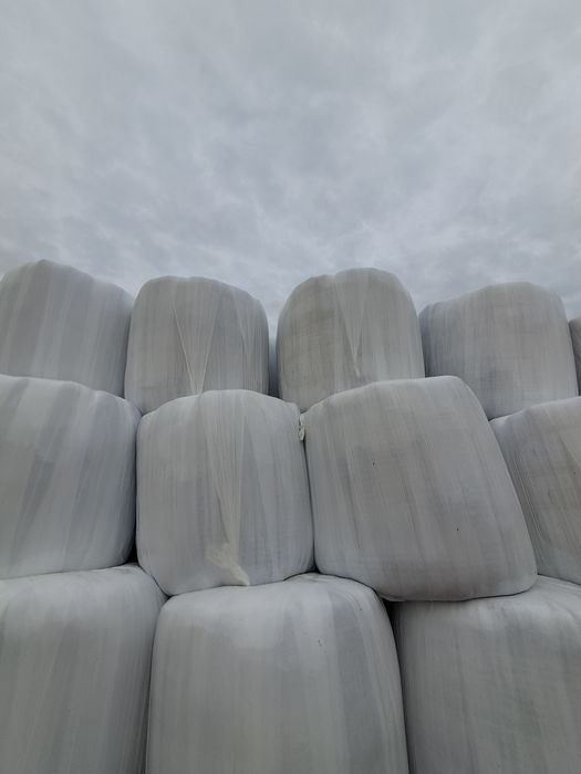 Sianokiszonka z traw