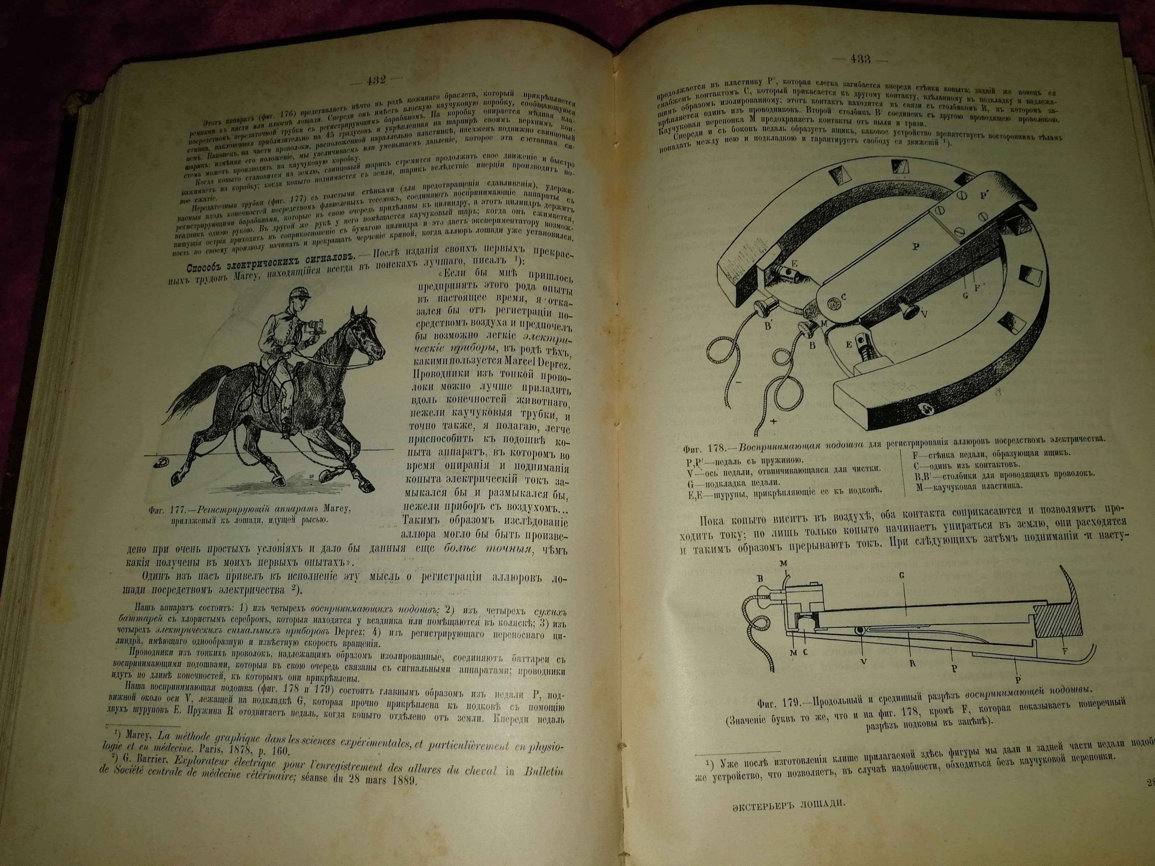 Книги о лошадях, начала прошлого века.