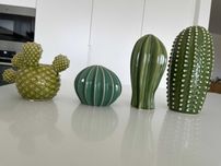 Conjunto decorativo de 4 cactos em loiça