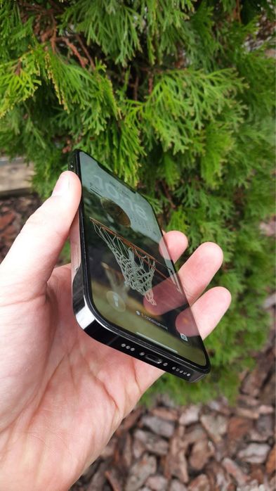 Iphone 12 pro 256 Graphit