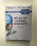 Frank H.Netter. Atlas of Human Anatomy. / Атлас анатомии человека.
