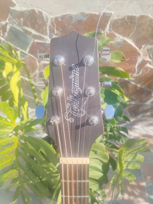 Takamine GD11 MCE NS