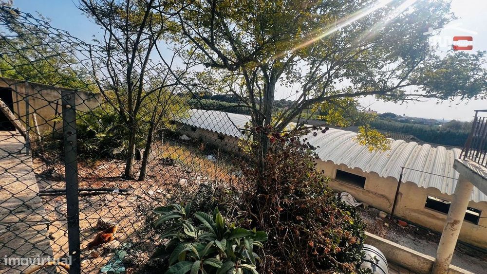 Terreno de 11,5 Hectares em Alcochete com 2 Moradias, Anexos || Vis...