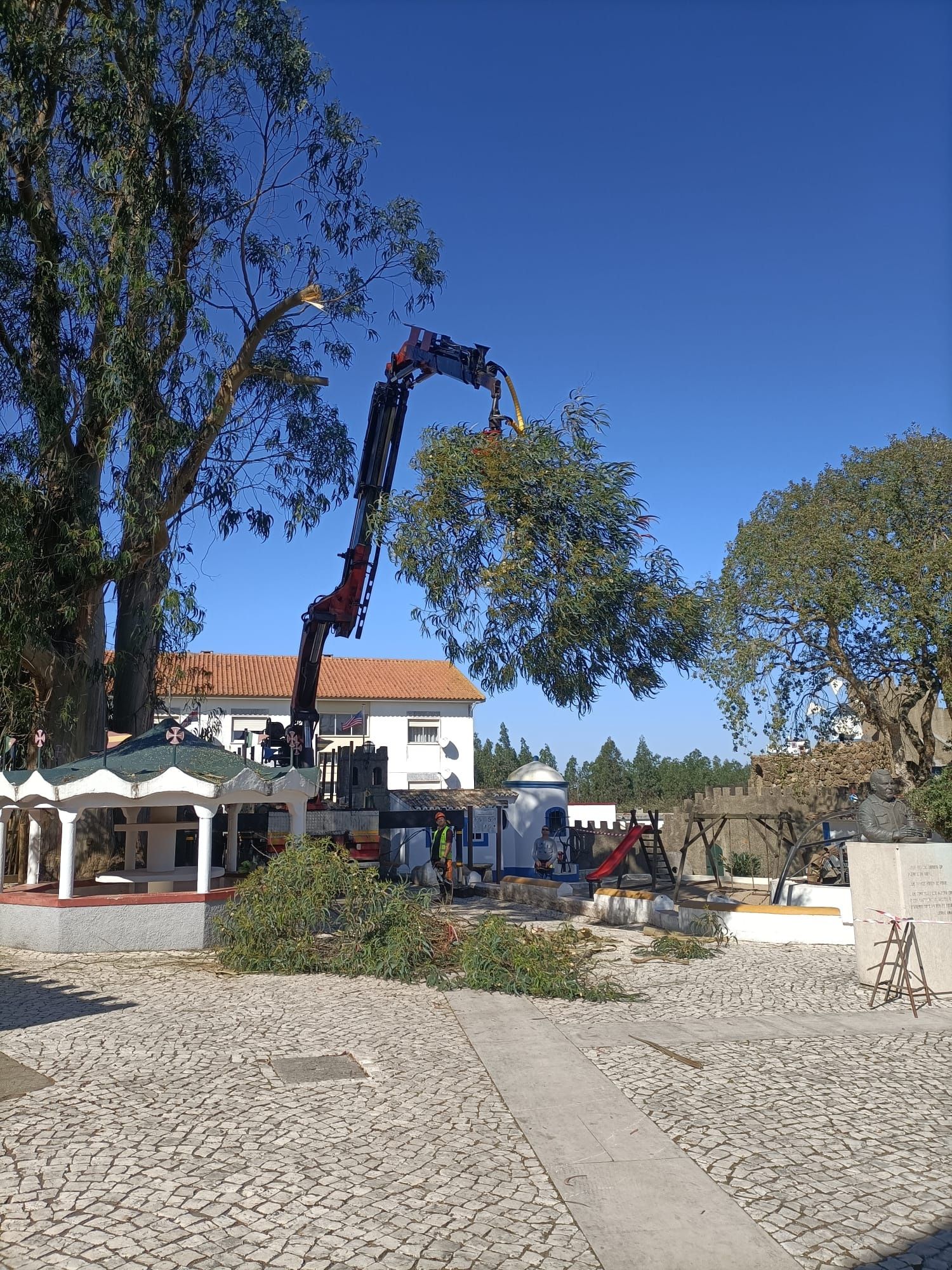 Serviços de Jardinagem/ Limpeza de Terrenos