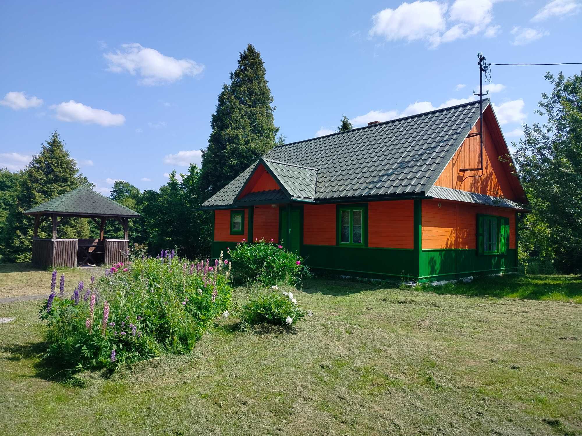 Domek przy lesie, Zaburze