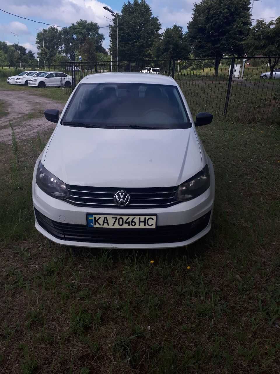 Надам в прокат WV Pollo