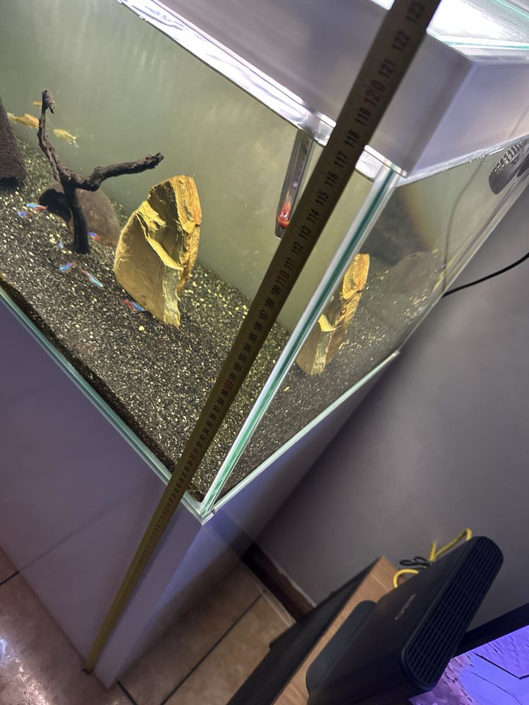 Aquário 140L com Movel, Filtro e acessórios