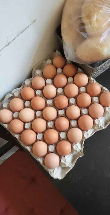 Jajeczka od szczęśliwej kurki
