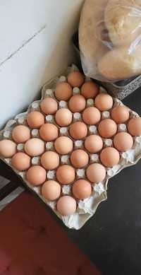 Jajeczka od szczęśliwej kurki