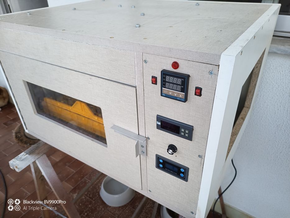 Chocadeira de ovos de galinha