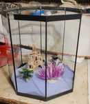 Terrarium akwarium o ośmiokątnym kształcie z wyposażeniem