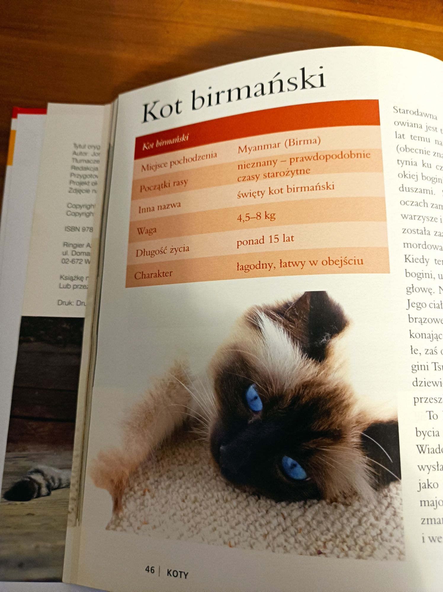 Książka o kotach
