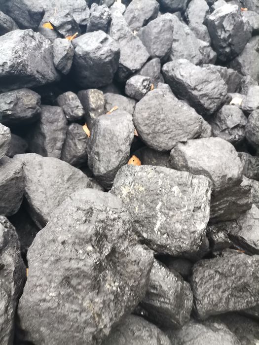 Węgiel kostka gruby polski