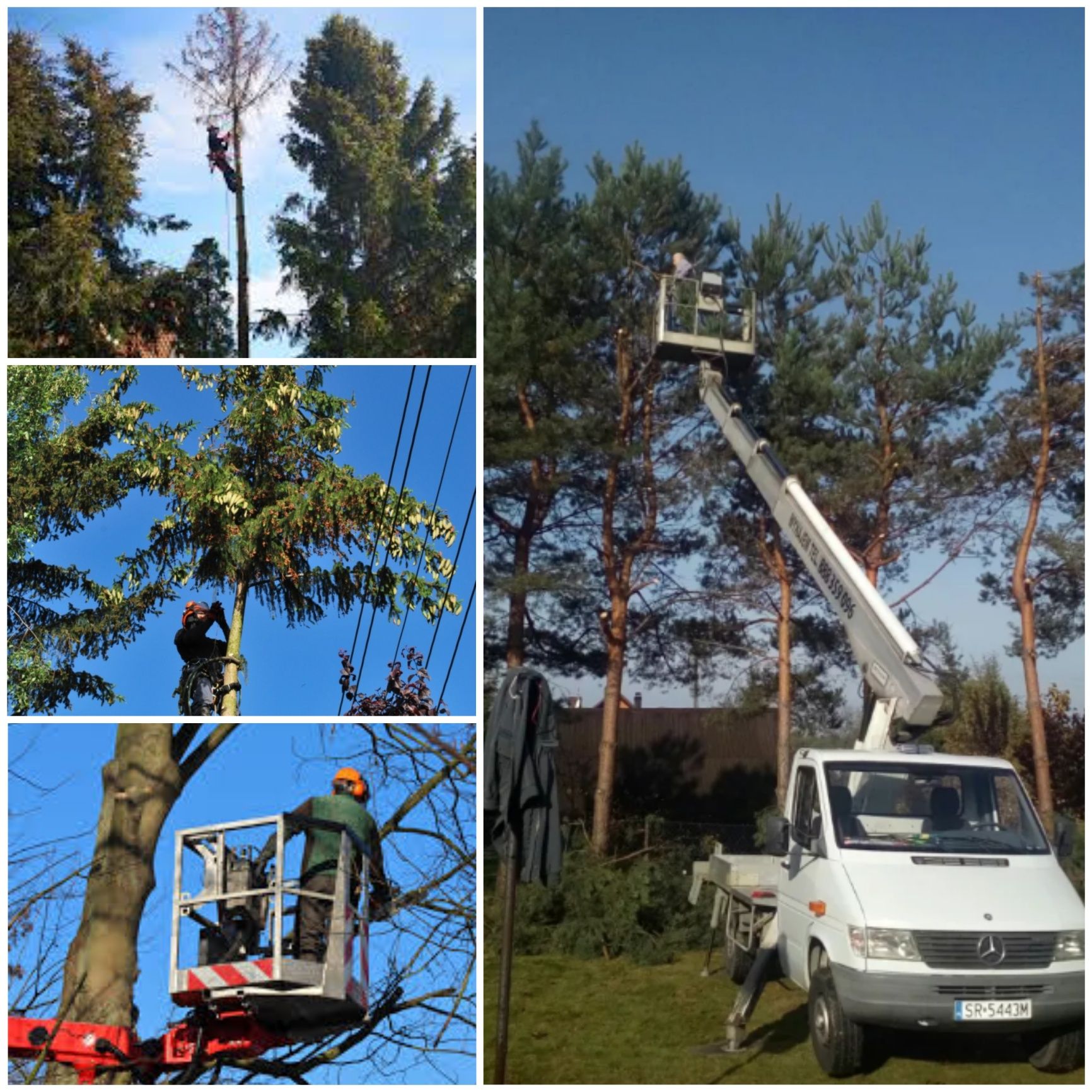 Zakładanie Trawnika Zakładanie Ogrodów Wycinka Drzew Glebogryzarka