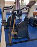 Stepper schwinn