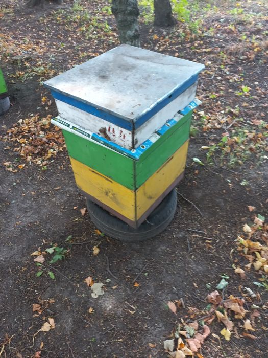 Продам вулики 10 рамочні на рамку Рут