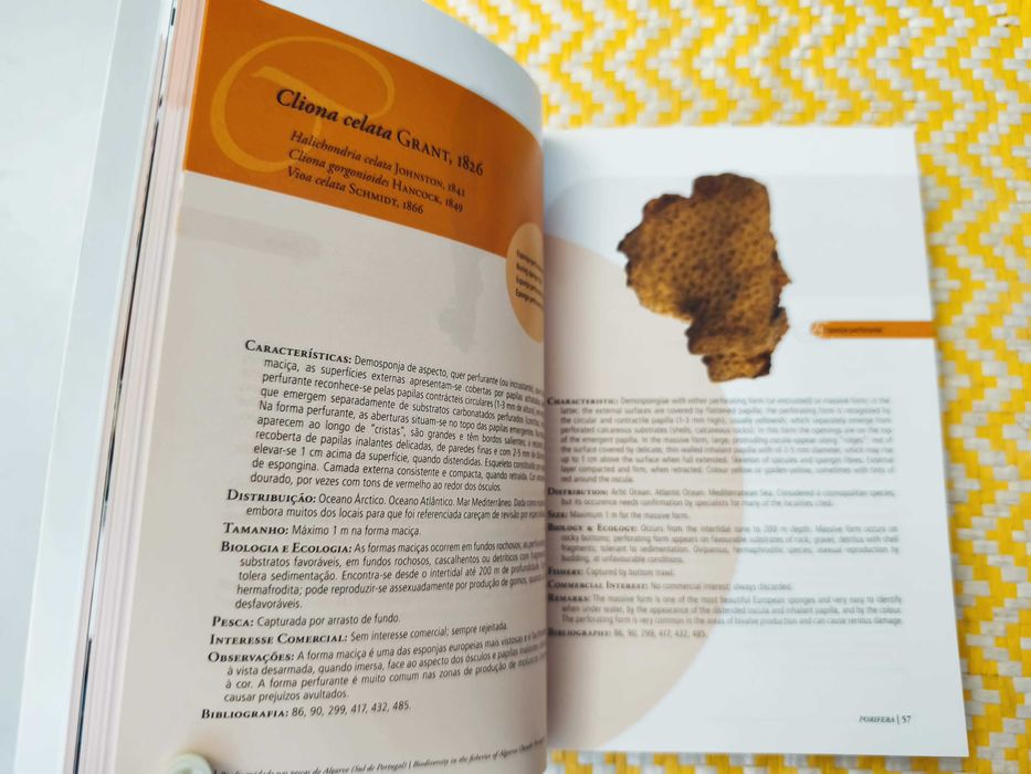 Biodiversidade nas pescas do Algarve – 
Coord. Teresa Silveira Borges