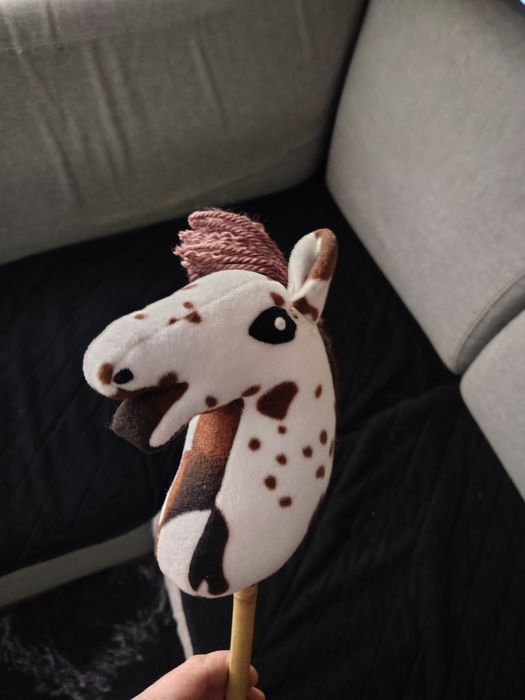 Sprzedam konika Hobby hoorsa