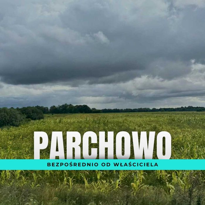 Promocja tygodnia! Działka nad jeziorem, domki na drzewach, glamping