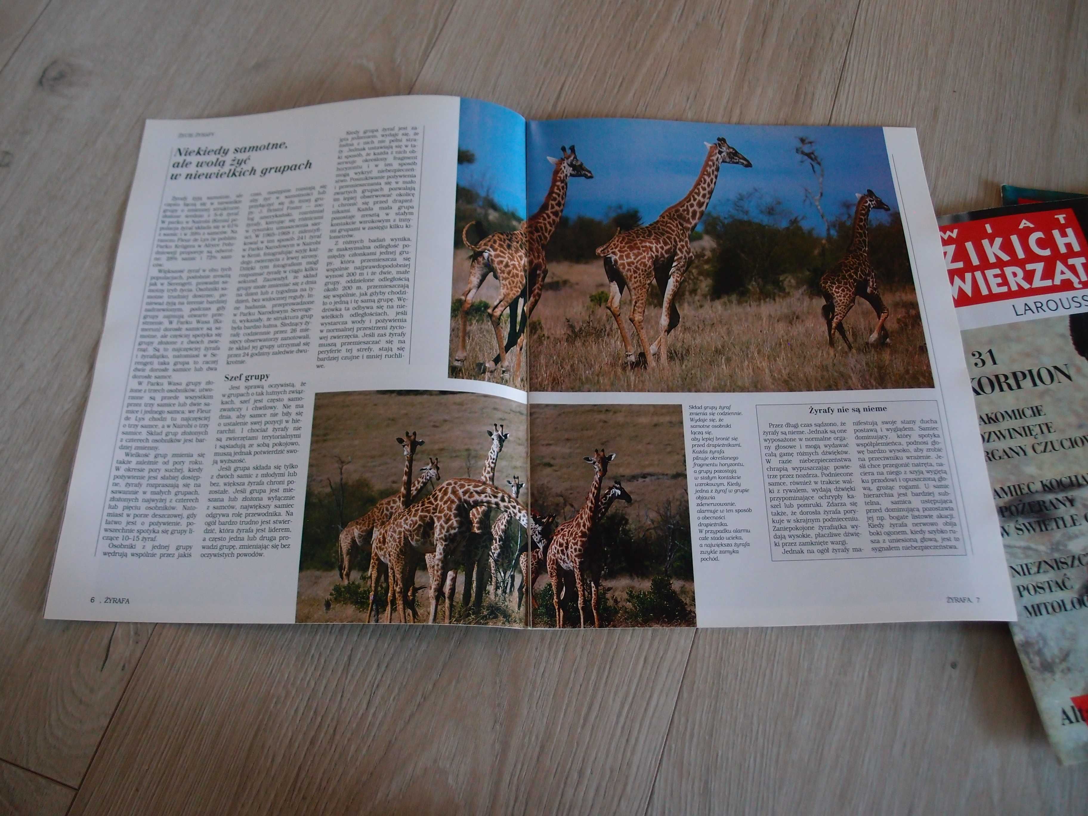 Świat Dzikich Zwierząt Larousse czasopisma naukowe pomoce dydaktyczne