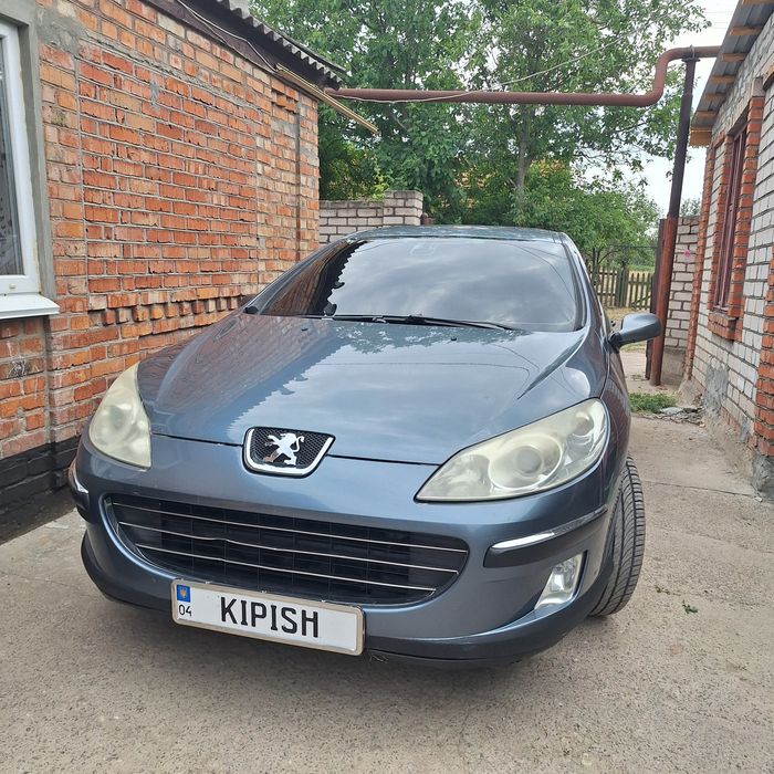 Пежо 407 Сєдан Цинк