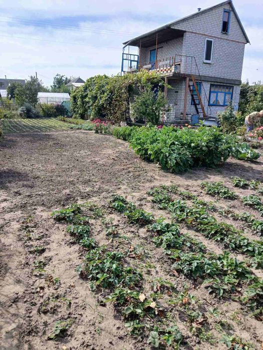 Дача в м. Світловодськ, СТ «Керамік» біля водосховища