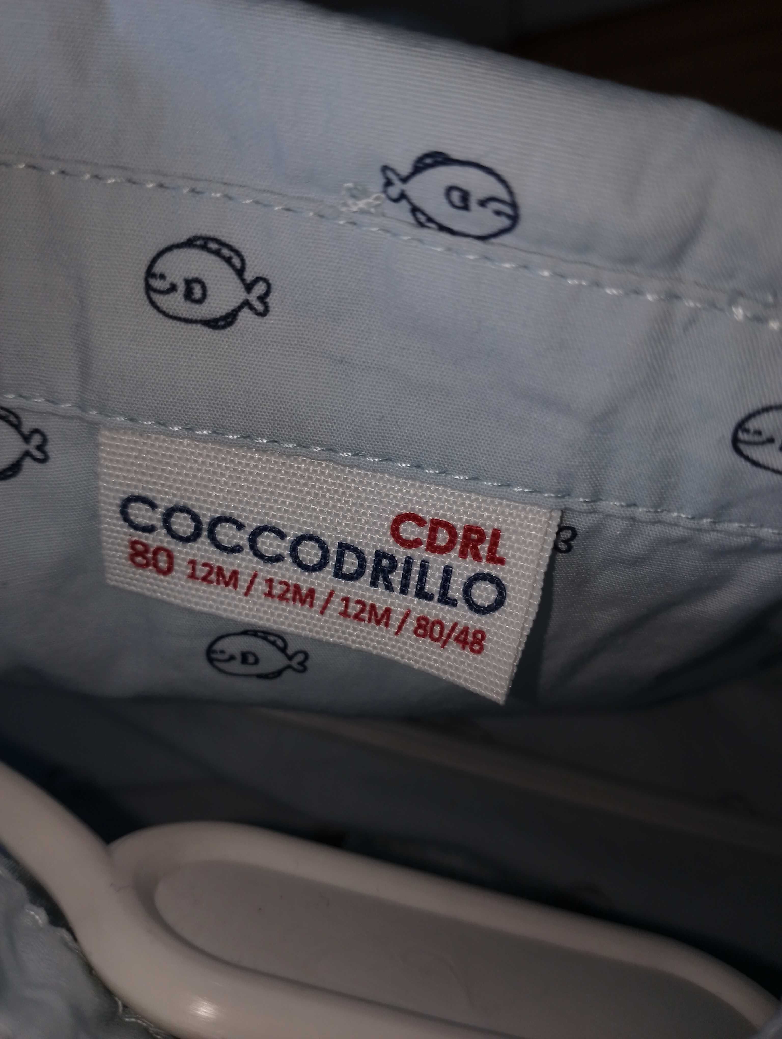 Koszula chłopięca coccodrillo 80