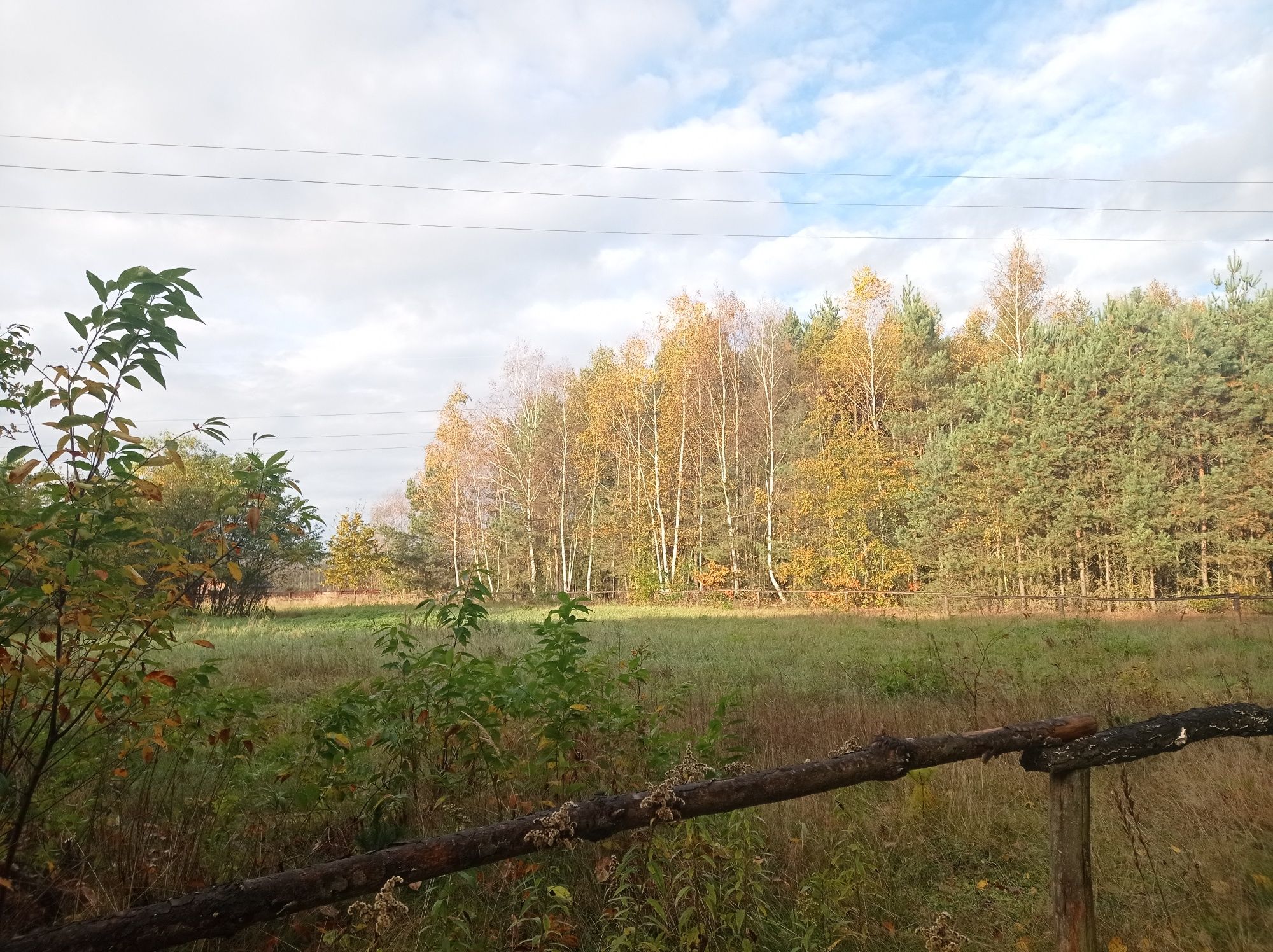 Działka budowlana przy lesie Rzeczyca Długa 15 ar