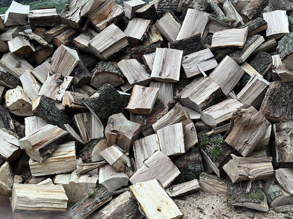 Dąb łupany drewno kominkowe TRANSPORT GRATIS