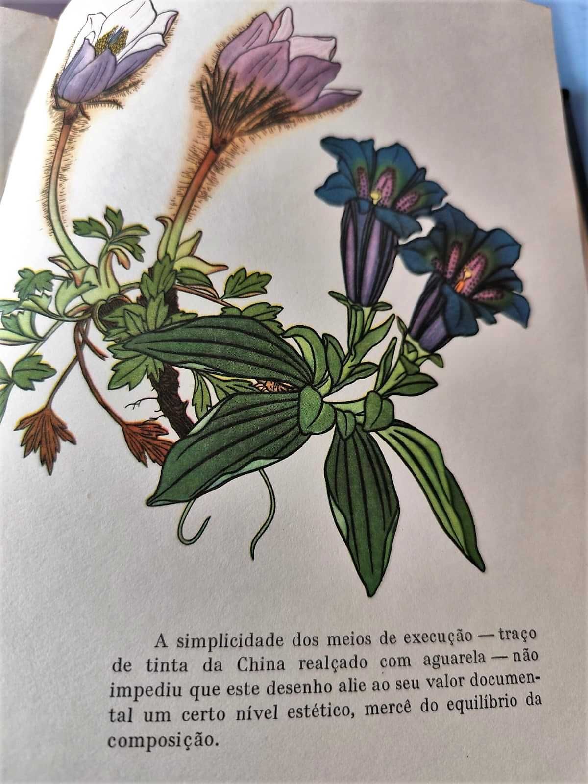 Livro Antigo - Compêndio de Desenho, de António Carreira.