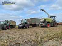 Kukurydza | zbiór | kiszonka | CLAAS Jaguar | SHREDLAGE® | RomaxAgro
