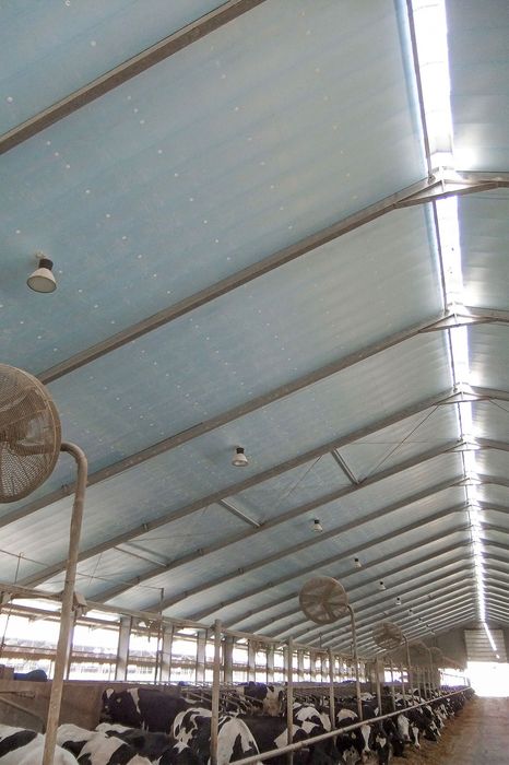 XPS Styrodur Płyta Rolnicza Agro Ocieplenie Obory Kurnika Chlewni