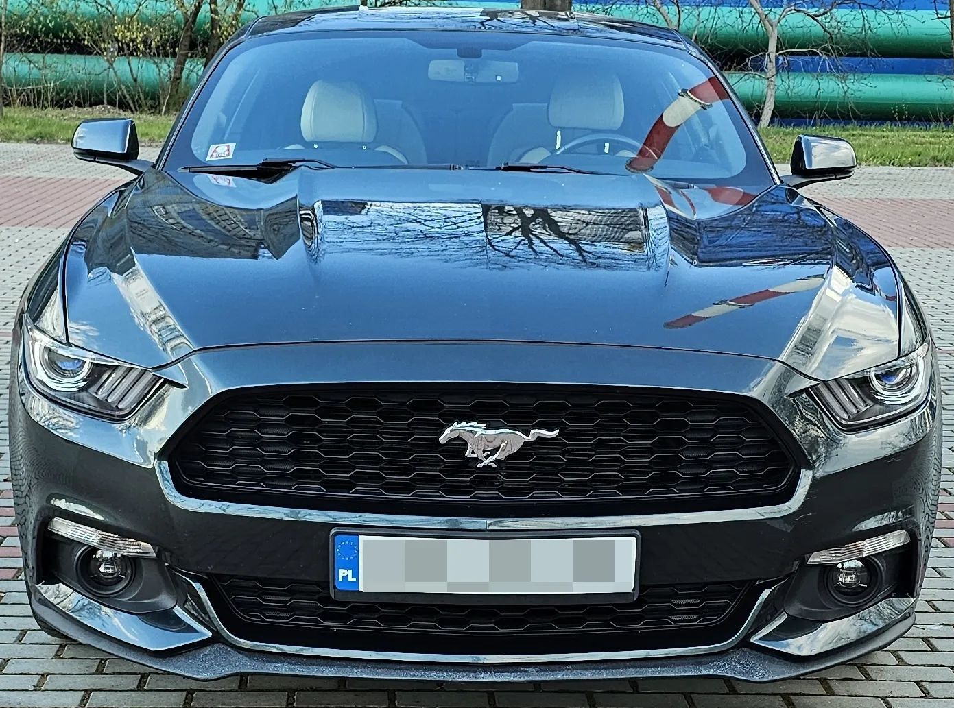 Ford Mustang Ford Mustang EcoBoost Premium 2015