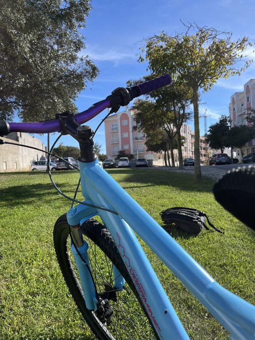 Bicicleta Btt personalizara