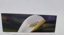 Quadro decorativo