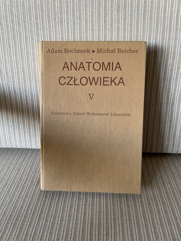 Anatomia czlowieka V Adam Bochenek Michal Reicher