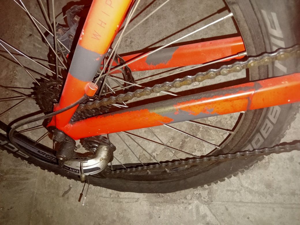 Rower Kellys whip 10