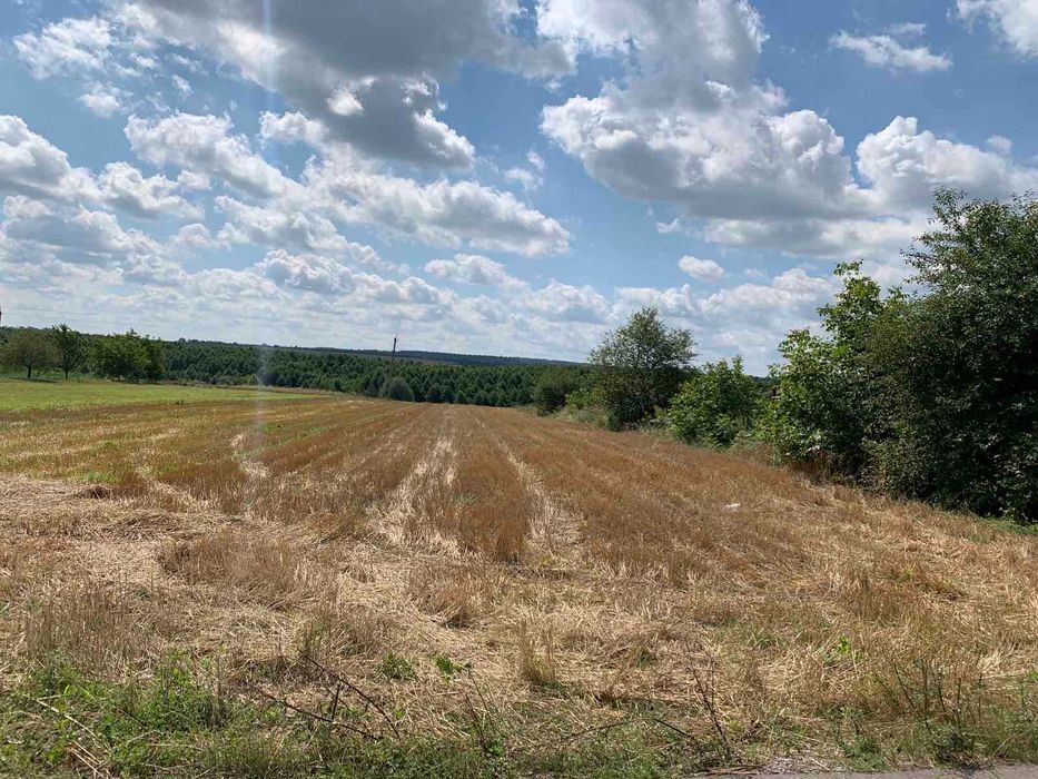 Продаж земельної ділянки 14 000 $