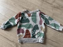 Bluza cocodrillo 86