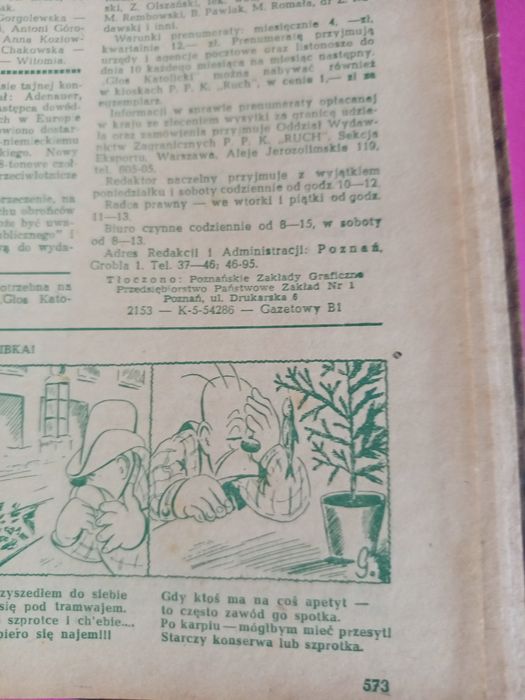 Zestaw gazet rocznik