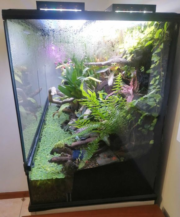 Terrário ExoTerra 90 mais móvel